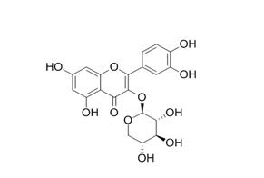 瑞诺甙;槲皮素-3-O-β-D-木糖甙